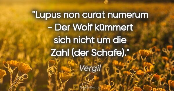Vergil Zitat: "Lupus non curat numerum - Der Wolf kümmert sich nicht um die..."