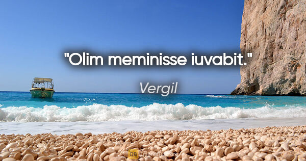 Vergil Zitat: "Olim meminisse iuvabit."