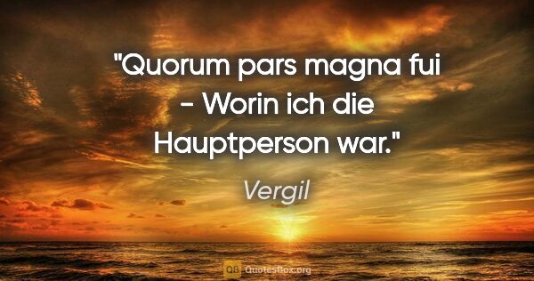 Vergil Zitat: "Quorum pars magna fui - Worin ich die Hauptperson war."