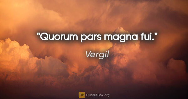 Vergil Zitat: "Quorum pars magna fui."