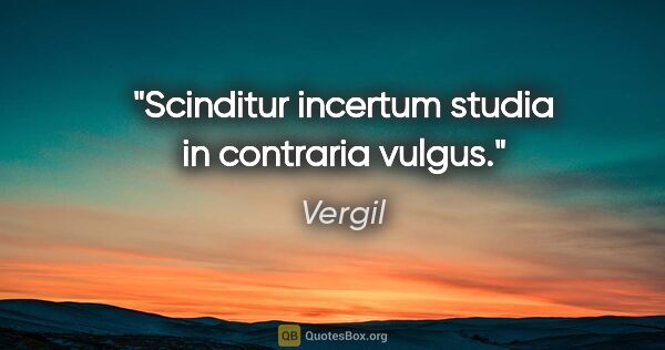 Vergil Zitat: "Scinditur incertum studia in contraria vulgus."