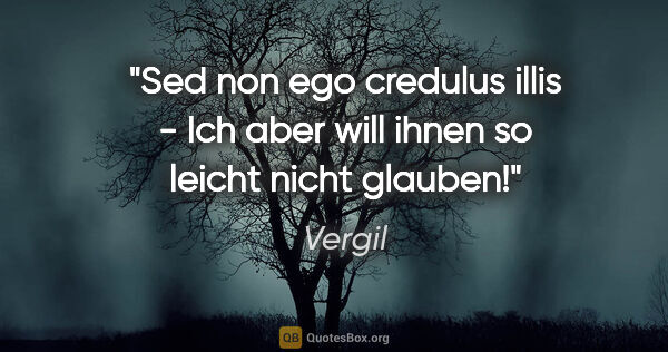 Vergil Zitat: "Sed non ego credulus illis - Ich aber will ihnen so leicht..."