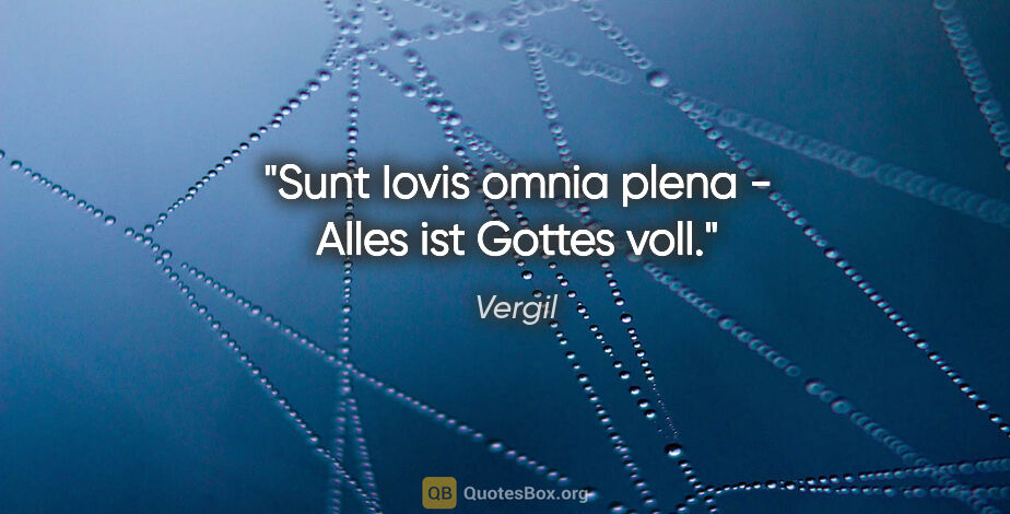 Vergil Zitat: "Sunt Iovis omnia plena - Alles ist Gottes voll."