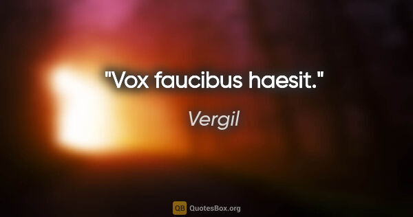 Vergil Zitat: "Vox faucibus haesit."