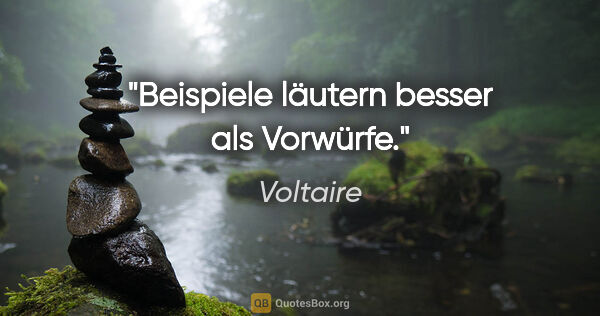 Voltaire Zitat: "Beispiele läutern besser als Vorwürfe."