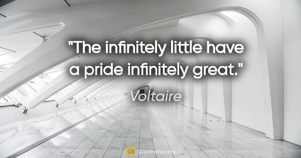 Voltaire Zitat: "The infinitely little have a pride infinitely great."