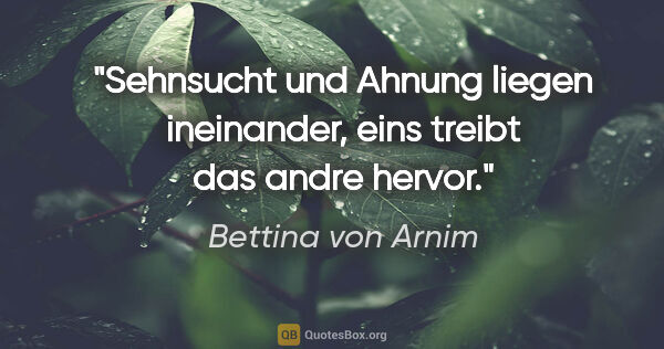 Bettina von Arnim Zitat: "Sehnsucht und Ahnung liegen ineinander, eins treibt das andre..."