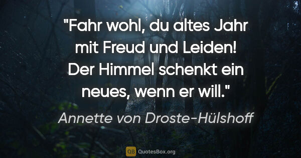 Annette von Droste-Hülshoff Zitat: "Fahr wohl, du altes Jahr mit Freud und Leiden! Der Himmel..."