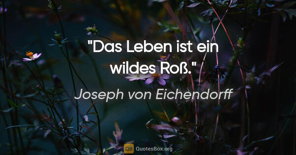 Joseph von Eichendorff Zitat: "Das Leben ist ein wildes Roß."