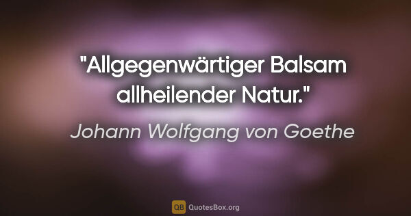 Johann Wolfgang von Goethe Zitat: "Allgegenwärtiger Balsam allheilender Natur."