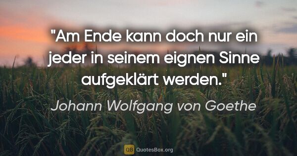Johann Wolfgang von Goethe Zitat: "Am Ende kann doch nur ein jeder in seinem eignen Sinne..."