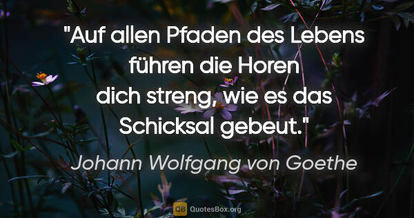 Johann Wolfgang von Goethe Zitat: "Auf allen Pfaden des Lebens führen die Horen dich streng, wie..."