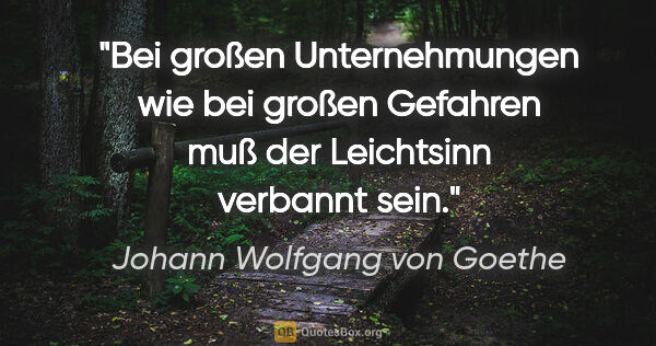 Johann Wolfgang von Goethe Zitat: "Bei großen Unternehmungen wie bei großen Gefahren muß der..."