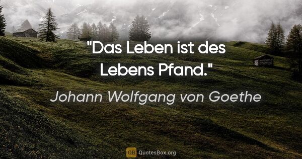 Johann Wolfgang von Goethe Zitat: "Das Leben ist des Lebens Pfand."