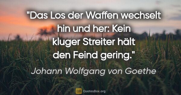 Johann Wolfgang von Goethe Zitat: "Das Los der Waffen wechselt hin und her: Kein kluger Streiter..."