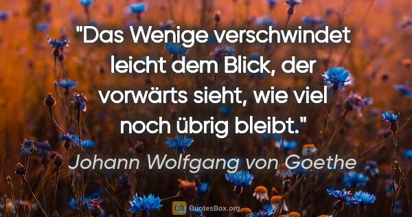 Johann Wolfgang von Goethe Zitat: "Das Wenige verschwindet leicht dem Blick, der vorwärts sieht,..."
