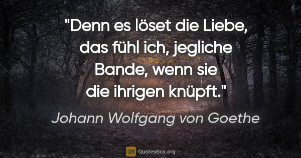 Johann Wolfgang von Goethe Zitat: "Denn es löset die Liebe, das fühl ich, jegliche Bande, wenn..."