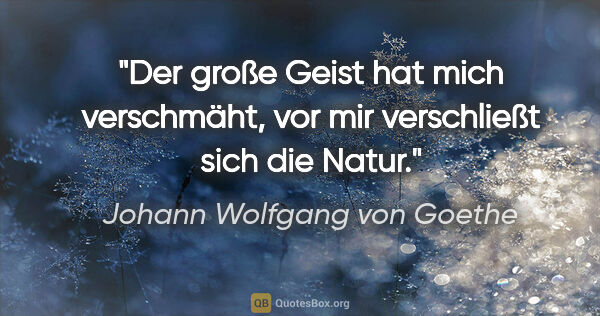 Johann Wolfgang von Goethe Zitat: "Der große Geist hat mich verschmäht, vor mir verschließt sich..."