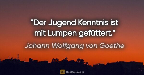 Johann Wolfgang von Goethe Zitat: "Der Jugend Kenntnis ist mit Lumpen gefüttert."