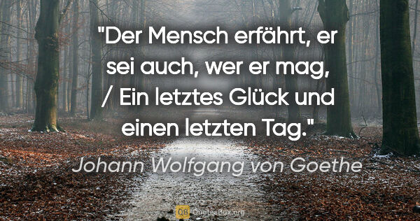 Johann Wolfgang von Goethe Zitat: "Der Mensch erfährt, er sei auch, wer er mag, / Ein letztes..."