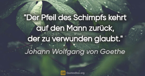 Johann Wolfgang von Goethe Zitat: "Der Pfeil des Schimpfs kehrt auf den Mann zurück, der zu..."