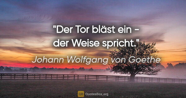Johann Wolfgang von Goethe Zitat: "Der Tor bläst ein - der Weise spricht."