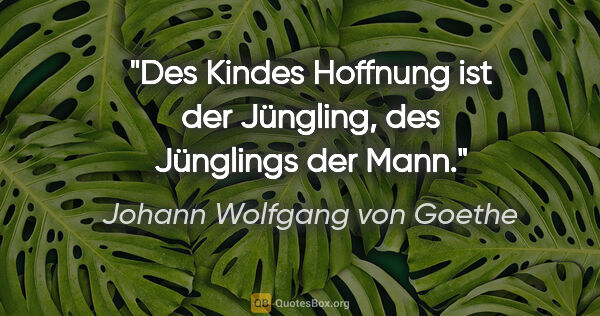 Johann Wolfgang von Goethe Zitat: "Des Kindes Hoffnung ist der Jüngling, des Jünglings der Mann."