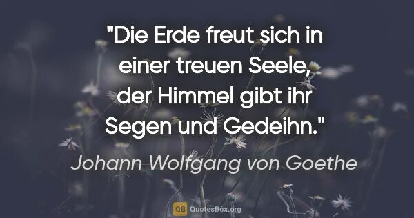 Johann Wolfgang von Goethe Zitat: "Die Erde freut sich in einer treuen Seele, der Himmel gibt ihr..."