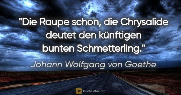Johann Wolfgang von Goethe Zitat: "Die Raupe schon, die Chrysalide deutet den künftigen bunten..."