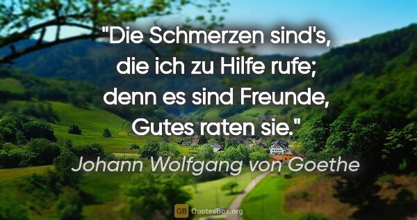 Johann Wolfgang von Goethe Zitat: "Die Schmerzen sind's, die ich zu Hilfe rufe; denn es sind..."