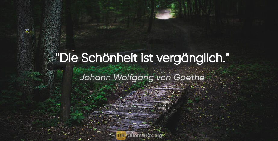 Johann Wolfgang von Goethe Zitat: "Die Schönheit ist vergänglich."