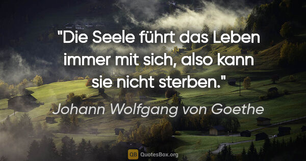 Johann Wolfgang von Goethe Zitat: "Die Seele führt das Leben immer mit sich, also kann sie nicht..."