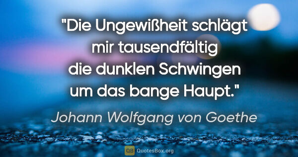 Johann Wolfgang von Goethe Zitat: "Die Ungewißheit schlägt mir tausendfältig die dunklen..."