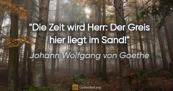 Johann Wolfgang von Goethe Zitat: "Die Zeit wird Herr: Der Greis hier liegt im Sand!"
