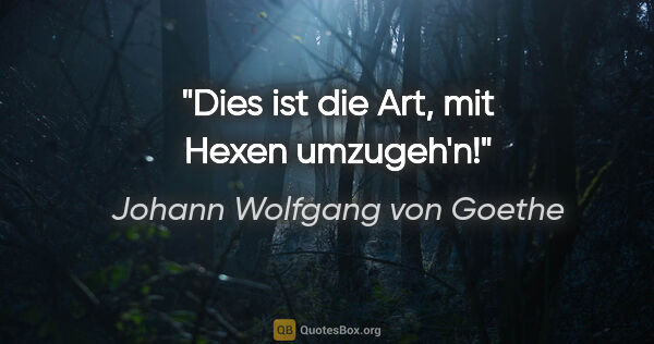 Johann Wolfgang von Goethe Zitat: "Dies ist die Art, mit Hexen umzugeh'n!"