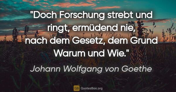 Johann Wolfgang von Goethe Zitat: "Doch Forschung strebt und ringt, ermüdend nie, nach dem..."