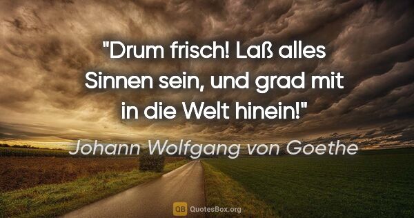 Johann Wolfgang von Goethe Zitat: "Drum frisch! Laß alles Sinnen sein, und grad mit in die Welt..."