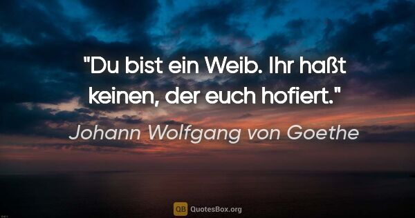 Johann Wolfgang von Goethe Zitat: "Du bist ein Weib. Ihr haßt keinen, der euch hofiert."