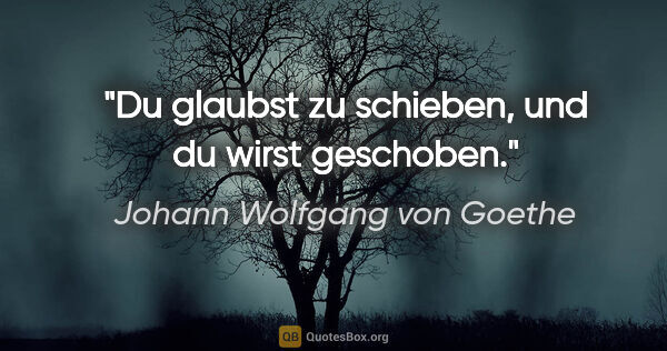 Johann Wolfgang von Goethe Zitat: "Du glaubst zu schieben, und du wirst geschoben."