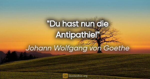 Johann Wolfgang von Goethe Zitat: "Du hast nun die Antipathie!"