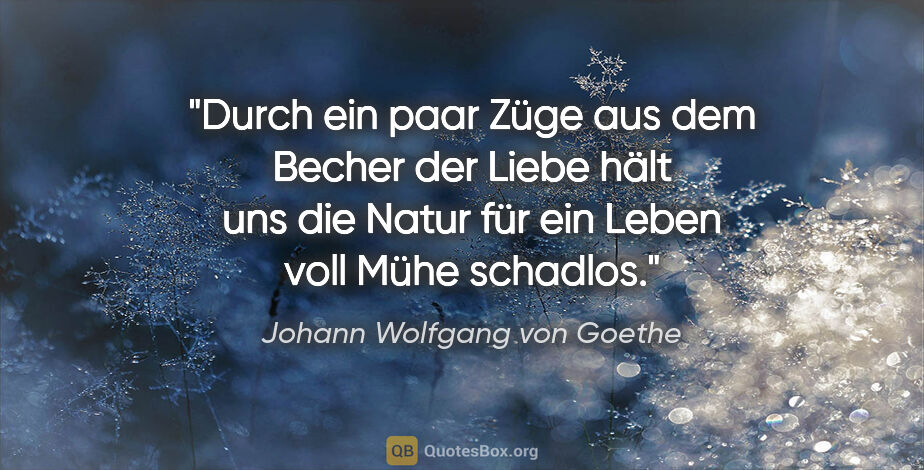 Johann Wolfgang von Goethe Zitat: "Durch ein paar Züge aus dem Becher der Liebe hält uns die..."