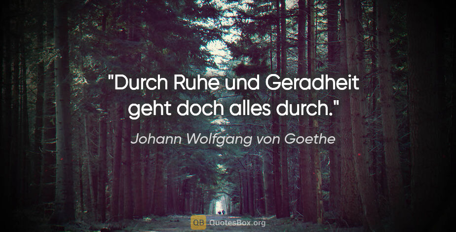 Johann Wolfgang von Goethe Zitat: "Durch Ruhe und Geradheit geht doch alles durch."