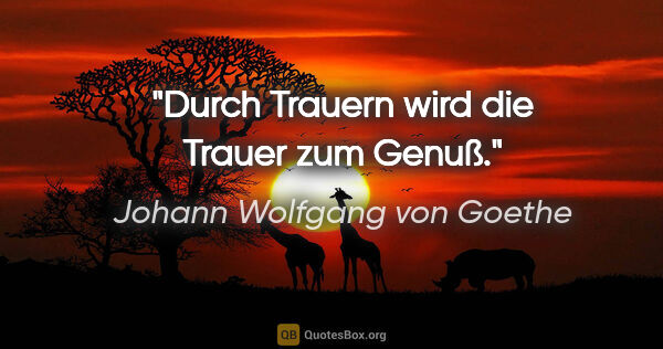 Johann Wolfgang von Goethe Zitat: "Durch Trauern wird die Trauer zum Genuß."