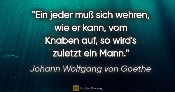 Johann Wolfgang von Goethe Zitat: "Ein jeder muß sich wehren, wie er kann, vom Knaben auf, so..."