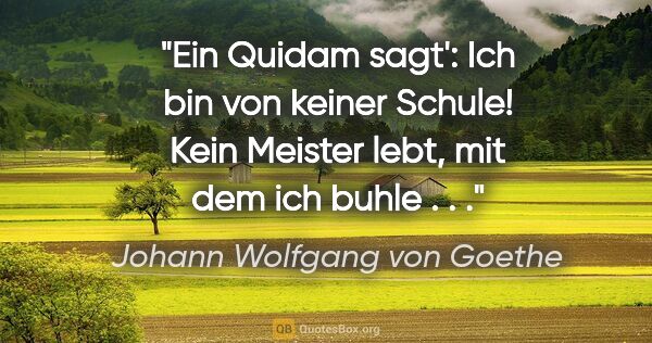 Johann Wolfgang von Goethe Zitat: "Ein Quidam sagt': "Ich bin von keiner Schule! Kein Meister..."