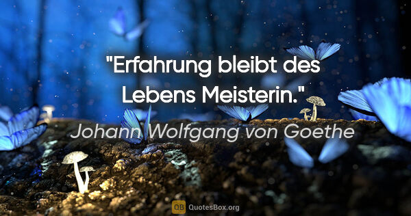 Johann Wolfgang von Goethe Zitat: "Erfahrung bleibt des Lebens Meisterin."