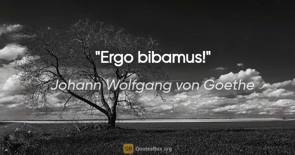 Johann Wolfgang von Goethe Zitat: "Ergo bibamus!"