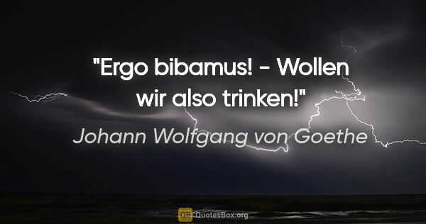 Johann Wolfgang von Goethe Zitat: "Ergo bibamus! - Wollen wir also trinken!"
