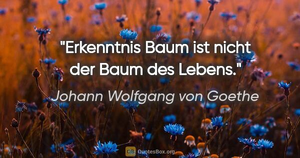 Johann Wolfgang von Goethe Zitat: "Erkenntnis Baum ist nicht der Baum des Lebens."