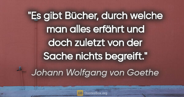 Johann Wolfgang von Goethe Zitat: "Es gibt Bücher, durch welche man alles erfährt und doch..."